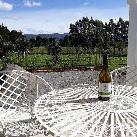 Woodside Orchard Otel Greytown Dış mekan fotoğraf